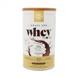 Solgar Solgar Whey to Go Protein Powder Chocolate Πρωτεΐνη από ορό γάλακτος Γεύση Σοκολάτα 377gr