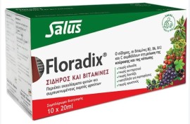 Power Health Floradix Συμπλήρωμα Σιδήρου με Βιταμίνες 10x20ml