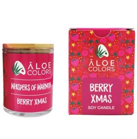 Aloe Colors Berry Xmas Whispers of Warmth Scented Soy Candle Αρωματικό Κερί Σόγιας, 150g