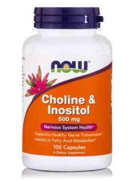 Now Foods Choline & Inositol 500mg, 100