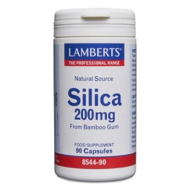 Lamberts Silica 200mg 90caps