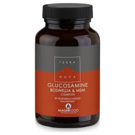 Terranova Glucosamine Boswellia & MSM Complex 100caps