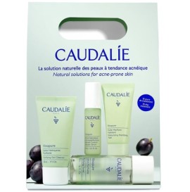 Caudalie Vinopure Starter Kit κατά των Ατελειών με Vinopure Purifying Gel Cleanser Καθαριστικό Προσώπου, 30ml, Toner, 50ml, Blemish Control Salicylic Serum Ορός Προσώπου, 30ml & Moisturizing Mattifying Fluid Ενυδατική Κρέμα, 15ml, 1σετ