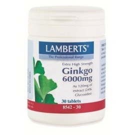 Lamberts Ginkgo Biloba extract 6000mg 30 tabs