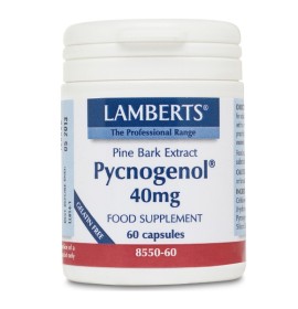 Lamberts Pycnogenol 40MG για Υγυιή Καρδιά και Κυκλοφορικό, 60 κάψουλες