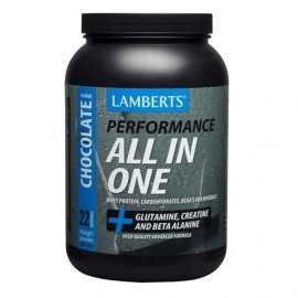 Lamberts Performance All-in-one Chocolate 1450gr