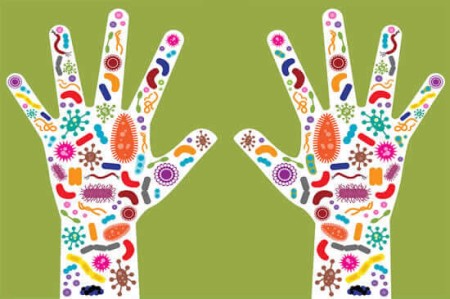 5+1 ερωτοαπαντήσεις για τους συγκατοίκους του σώματός μας!