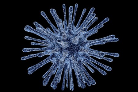 Τι είναι το ανοσοποιητικό και πώς θα το βοηθήσουμε;