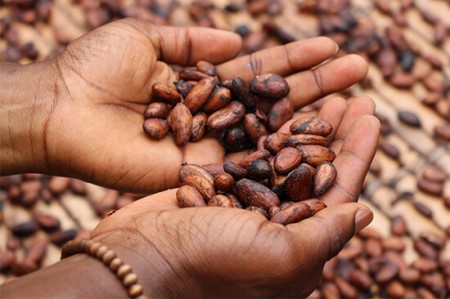 Είναι η σοκολάτα superfood;!